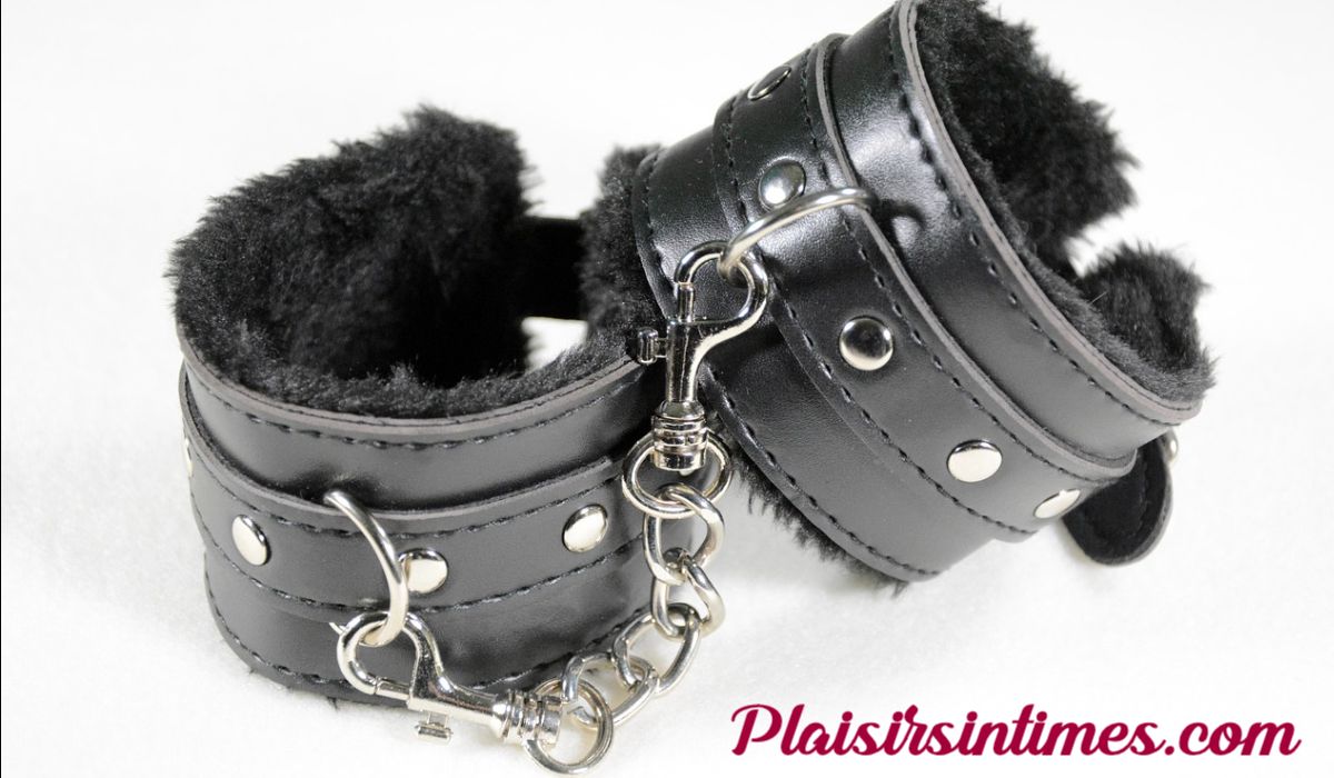 plaisirsintimes.com